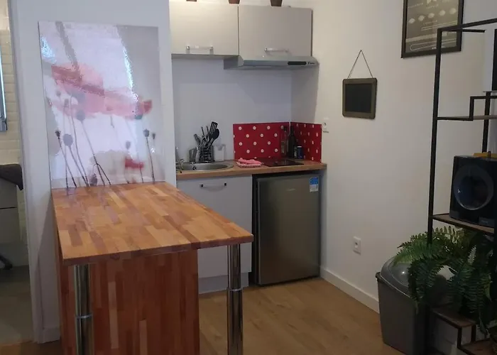 Palais De Justice Apartment